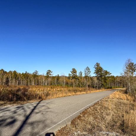 Tallapoosa Timberlands