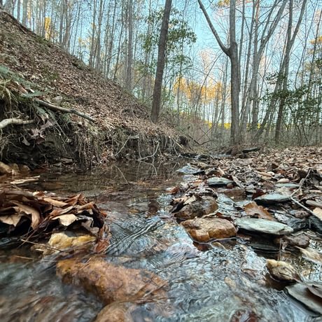 Tallapoosa Timberlands