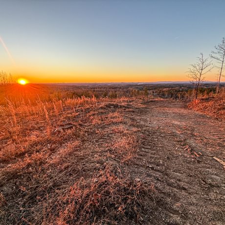 Tallapoosa Timberlands