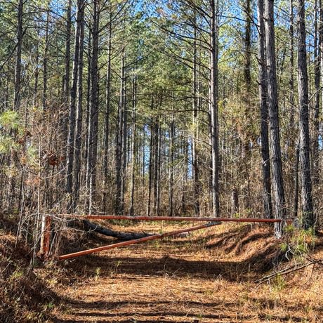 Tallapoosa Timberlands