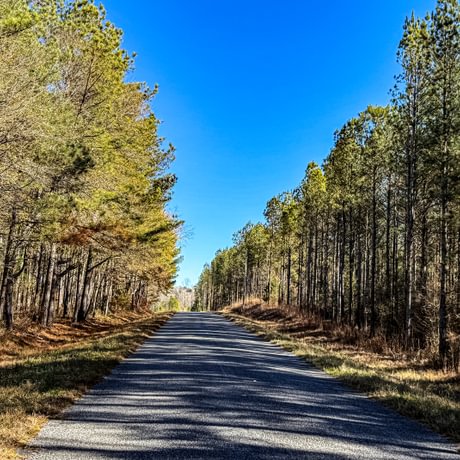 Tallapoosa Timberlands