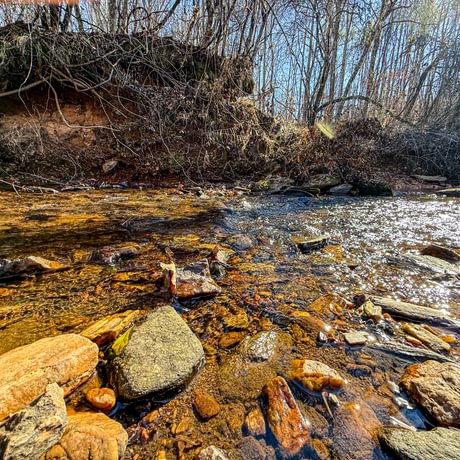 Tallapoosa Timberlands