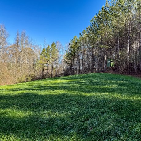 Tallapoosa Timberlands