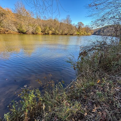 Tallapoosa Timberlands