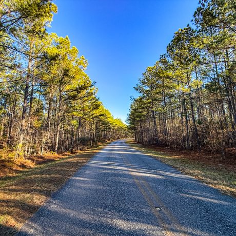 Tallapoosa Timberlands
