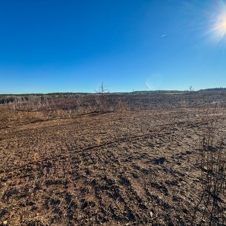 Tallapoosa Timberlands