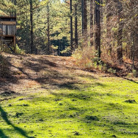 Tallapoosa Timberlands