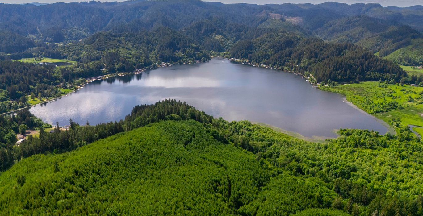 Triangle Lake