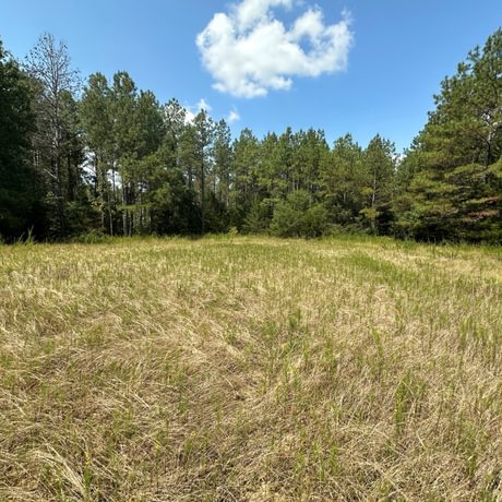 SOLD-Upstate Timberlands