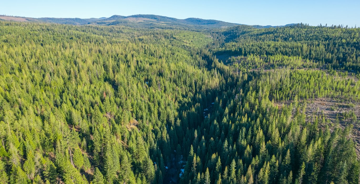 Wallowa Center 12