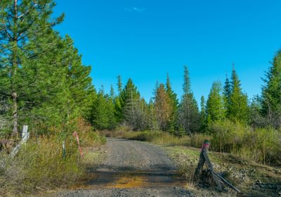 Wallowa Center 17