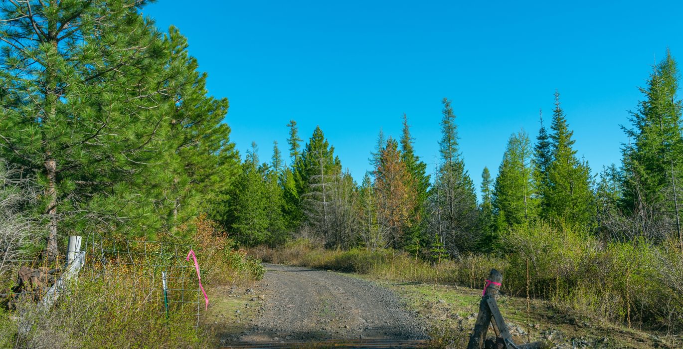 Wallowa Center 17