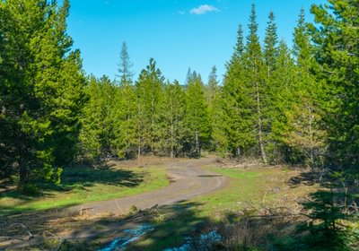 Wallowa Center 18
