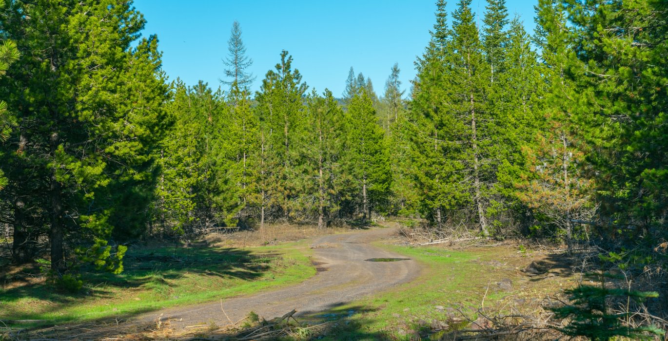 Wallowa Center 18