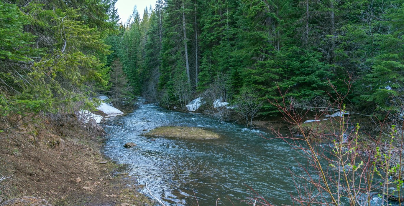 Wallowa Center 29