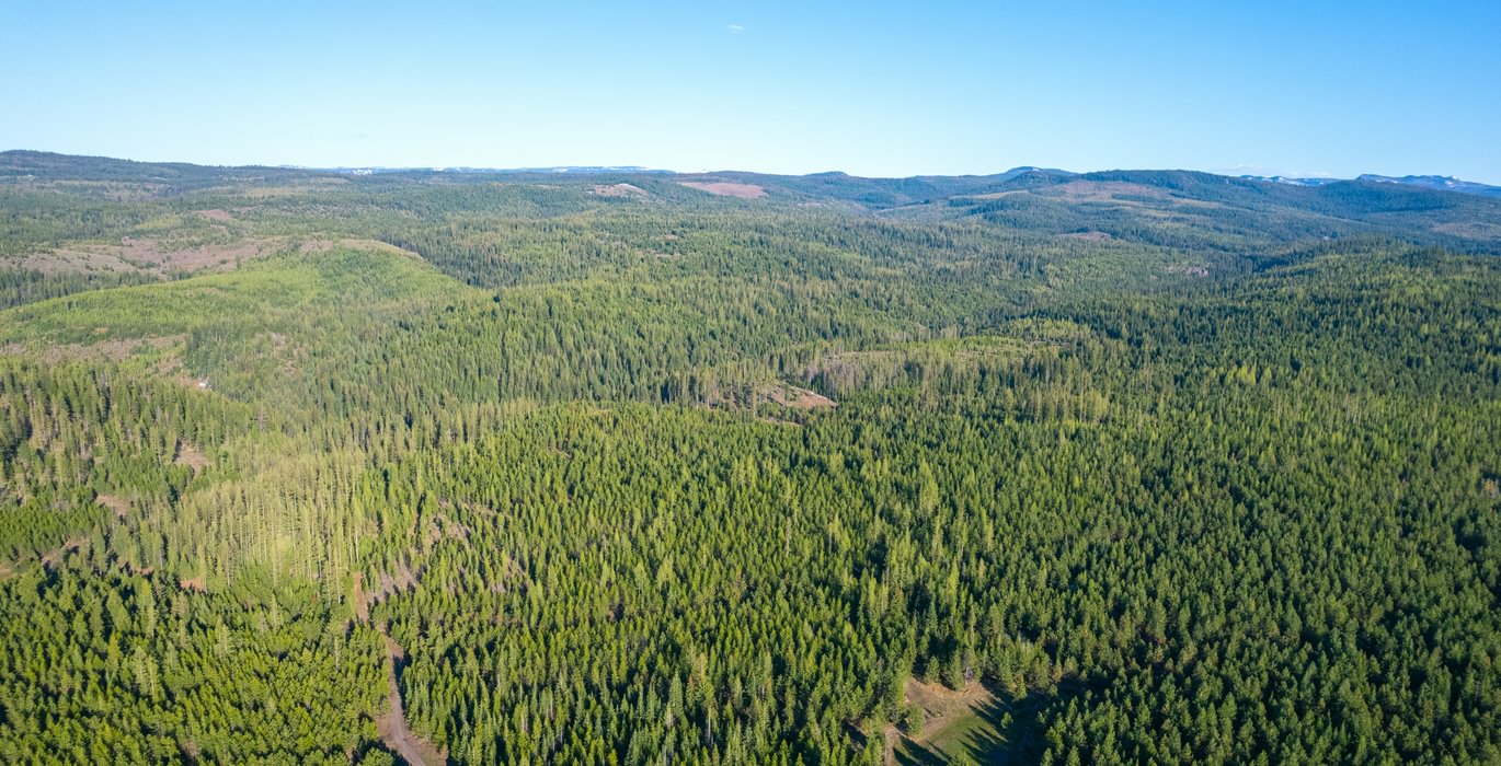 Wallowa Center 3