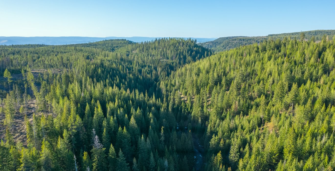 Wallowa Center 7