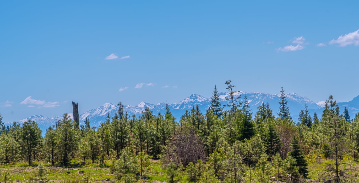Wallowa North 42