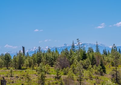 Wallowa North 42