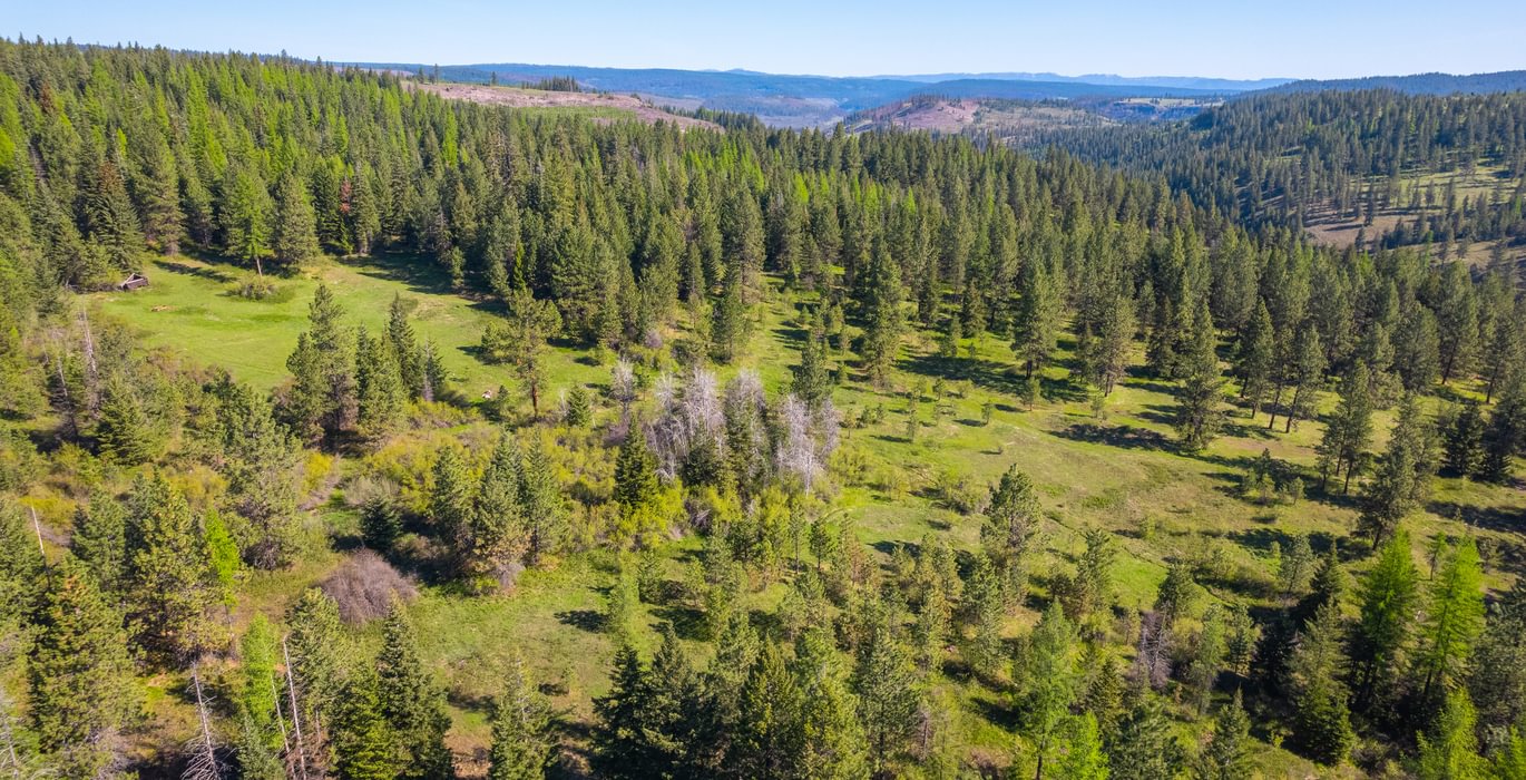 Wallowa North 5