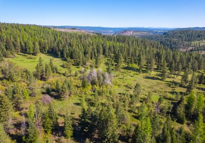 Wallowa North 5
