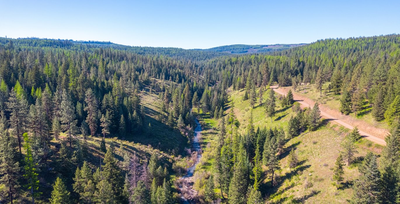 Wallowa North 8