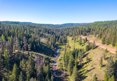 Wallowa North 8
