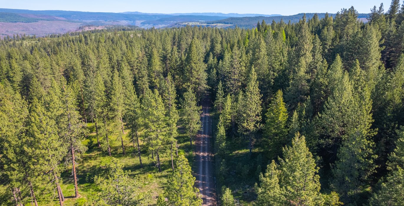 Wallowa North 10