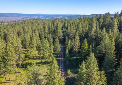 Wallowa North 10