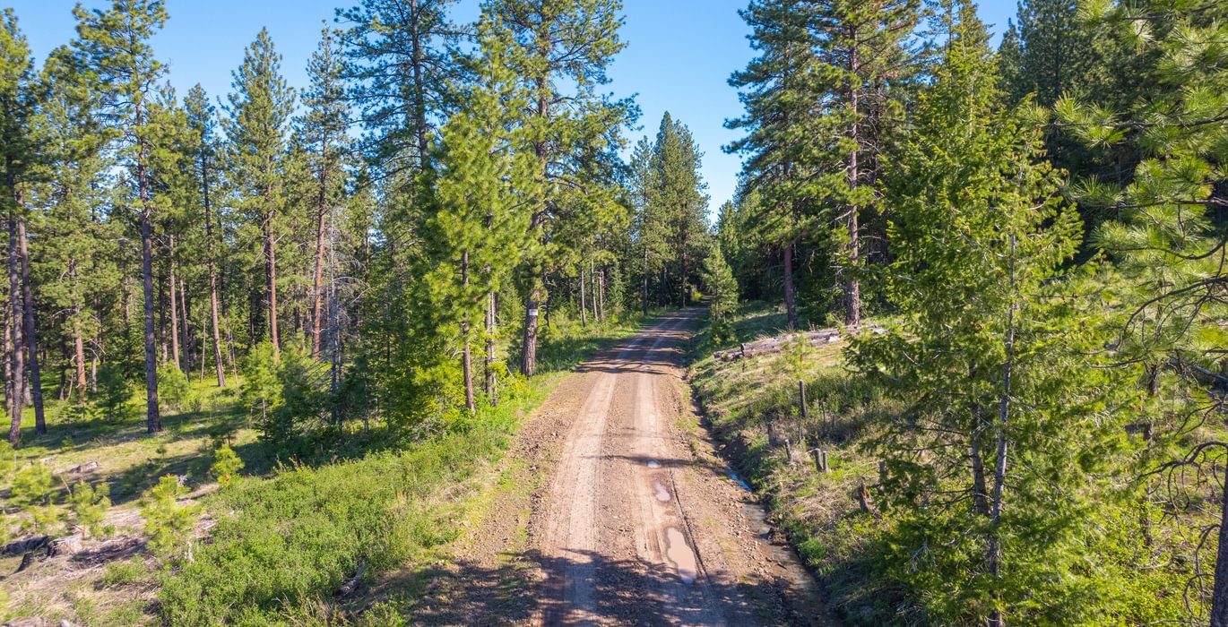 Wallowa North 11