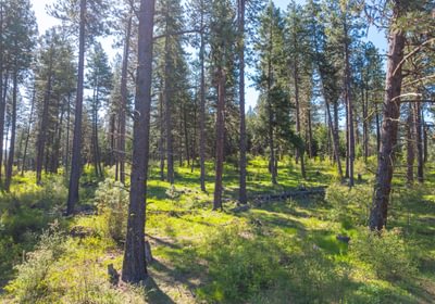 Wallowa North 17
