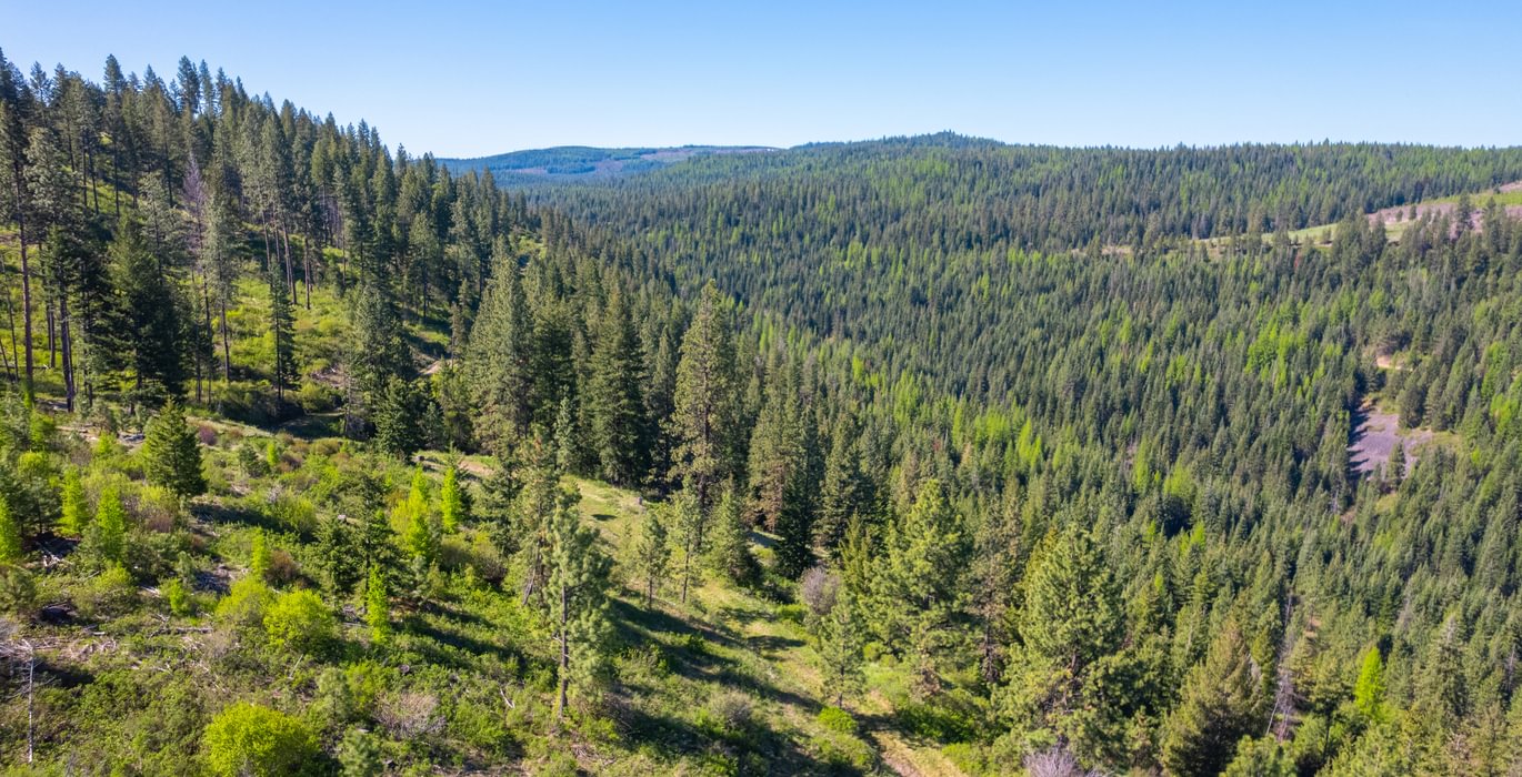 Wallowa North 18