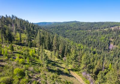 Wallowa North 18