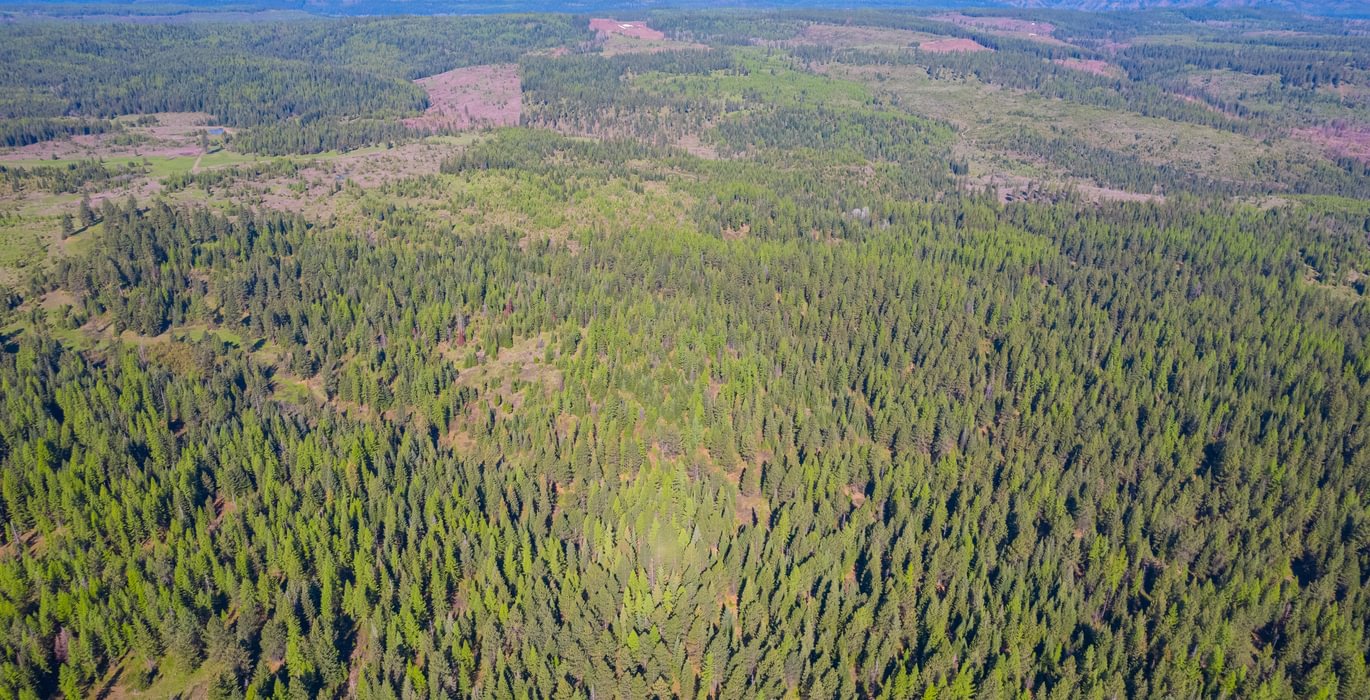 Wallowa North 2