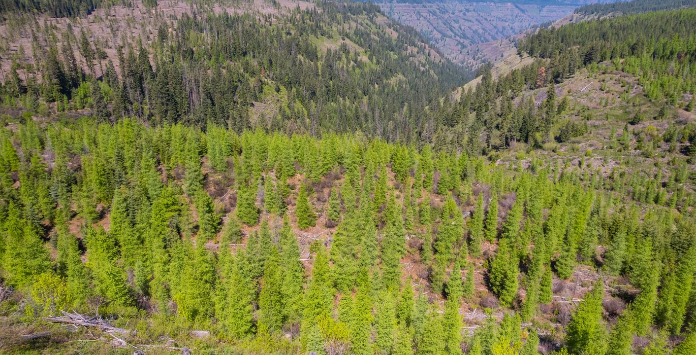 Wallowa North 22