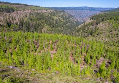 Wallowa North 22