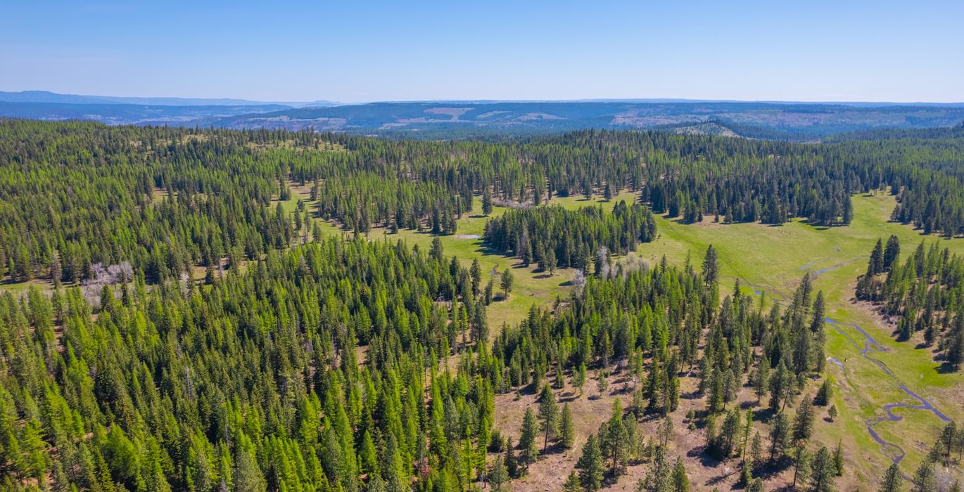 Wallowa North 23