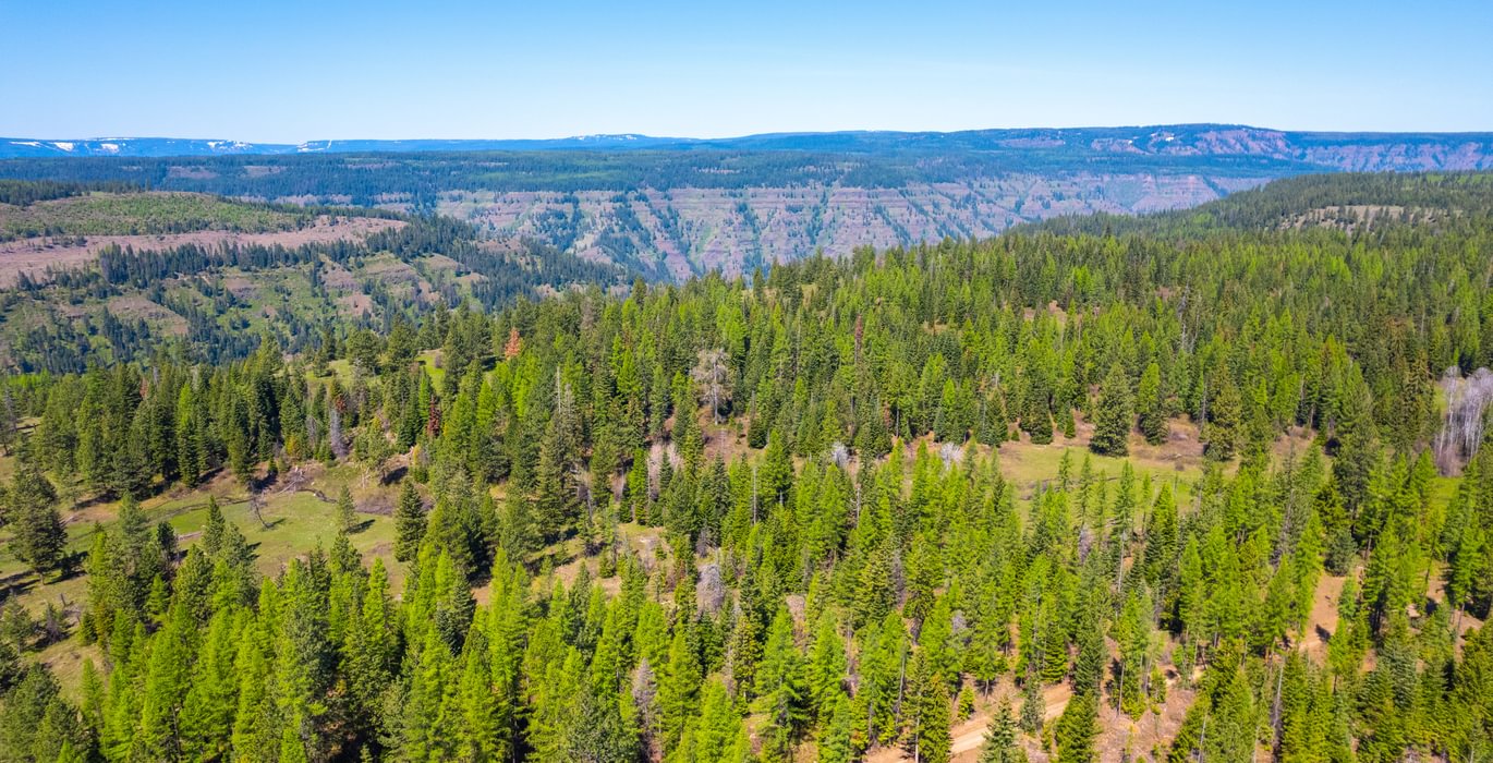 Wallowa North 24
