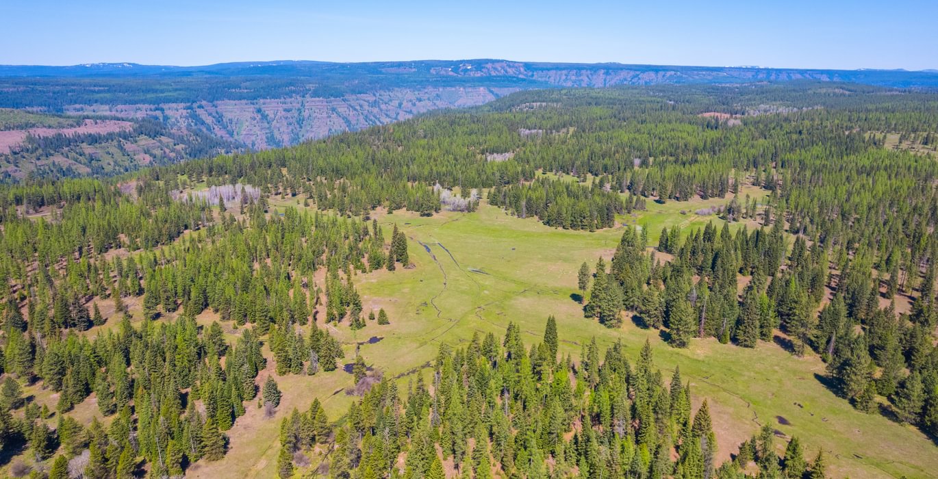 Wallowa North 25