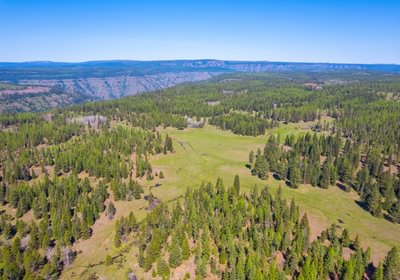 Wallowa North 25