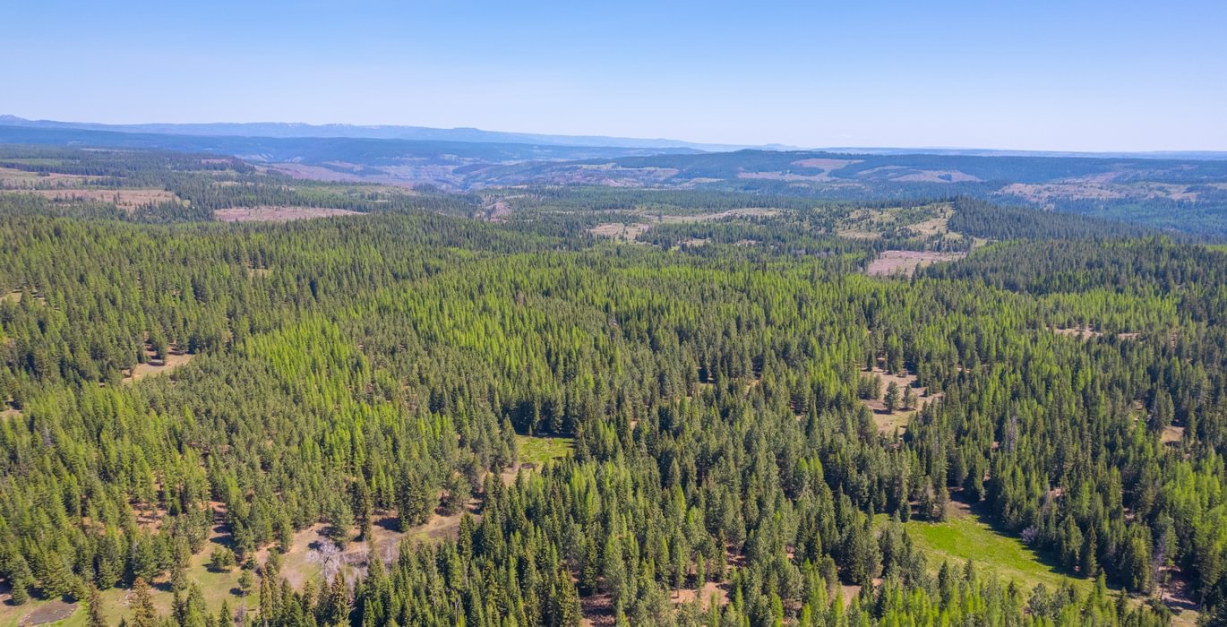 Wallowa North 27