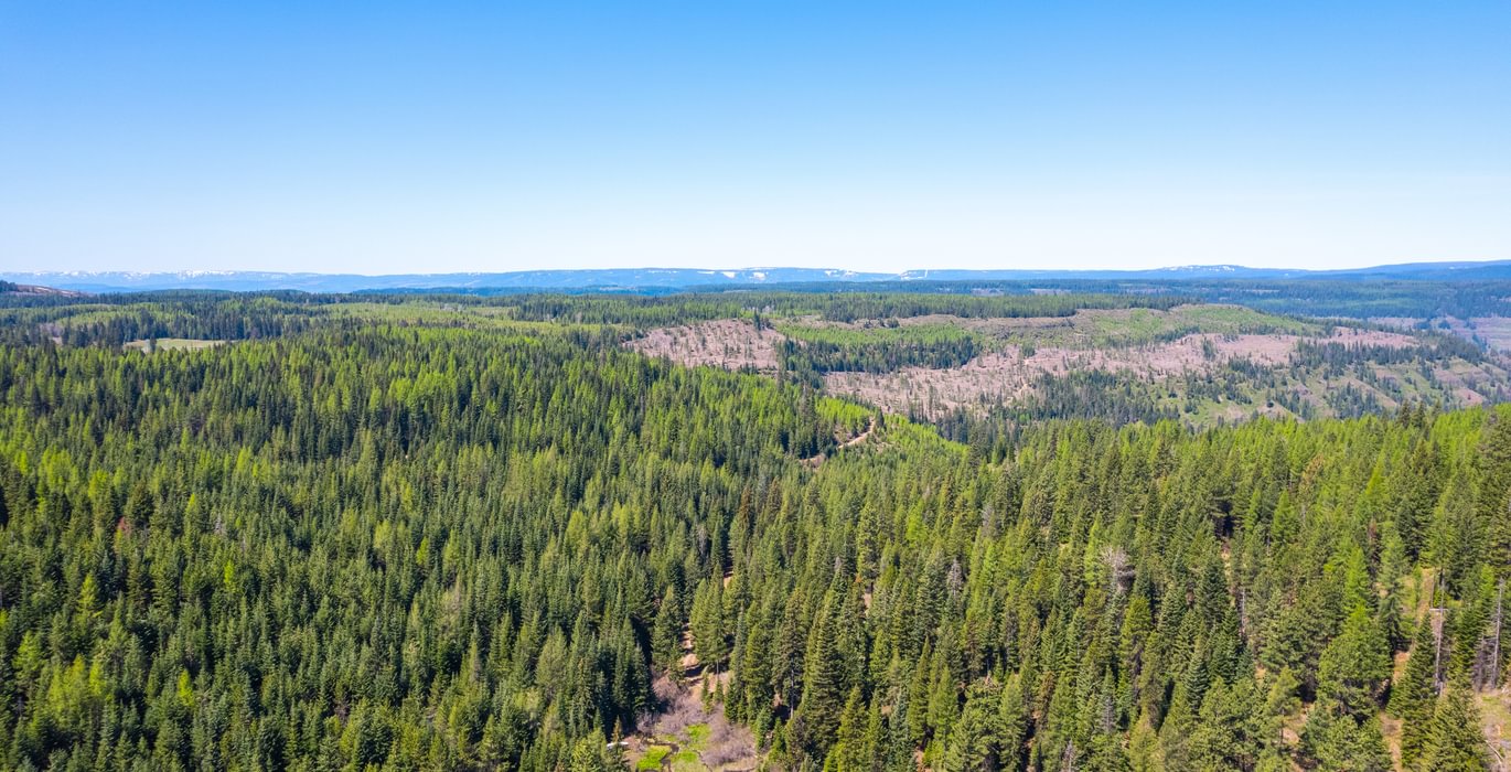 Wallowa North 29