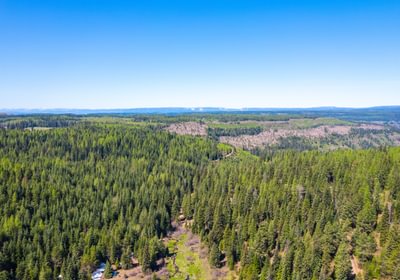 Wallowa North 29
