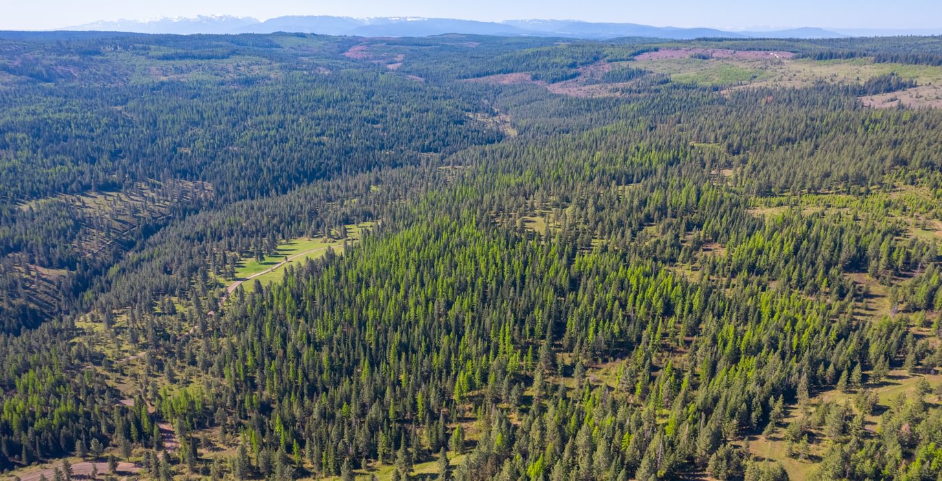 Wallowa North 3