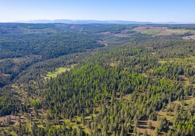 Wallowa North 3