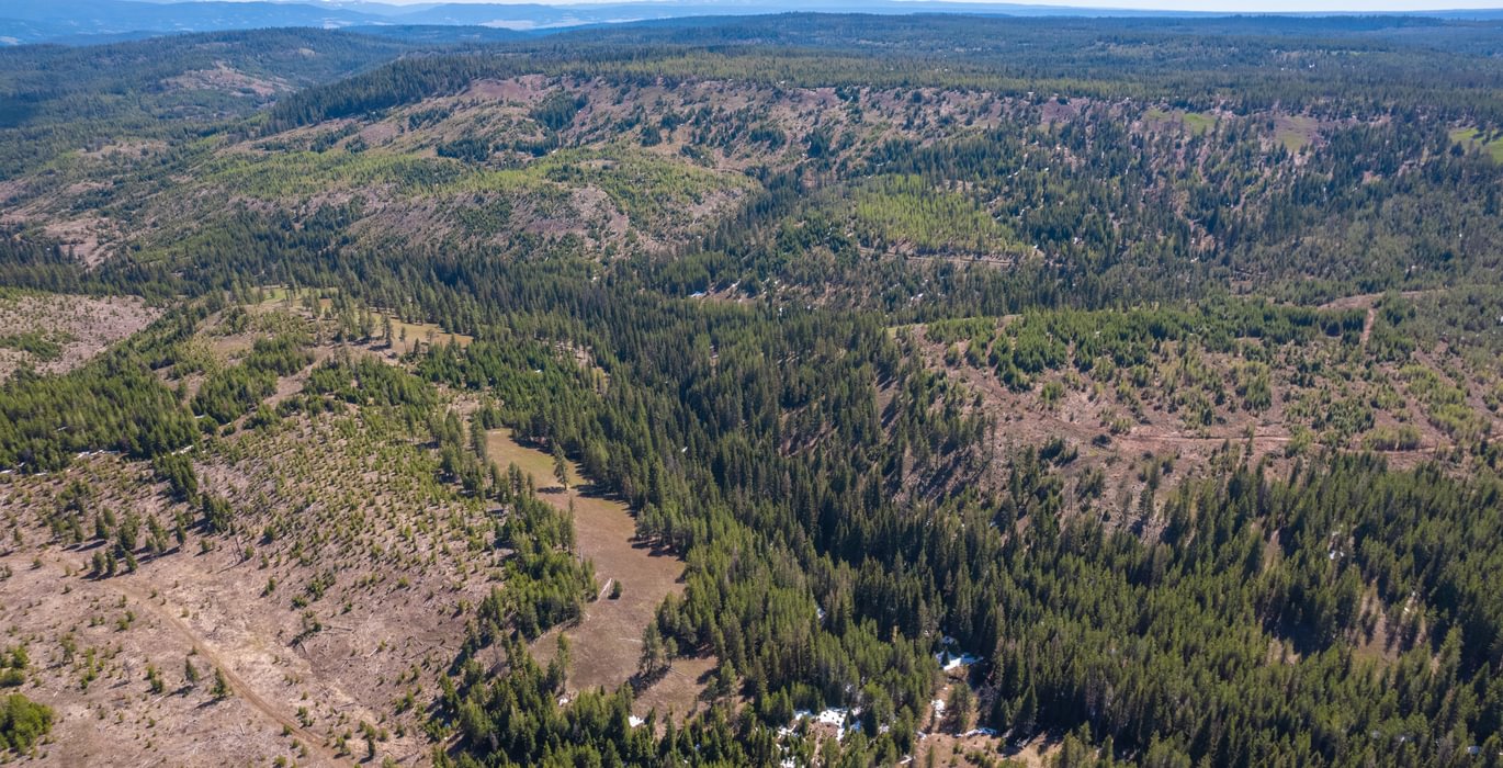 Wallowa West 15