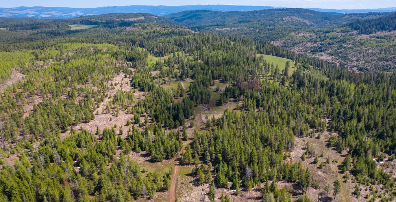 Wallowa West 12