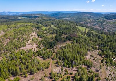 Wallowa West 12