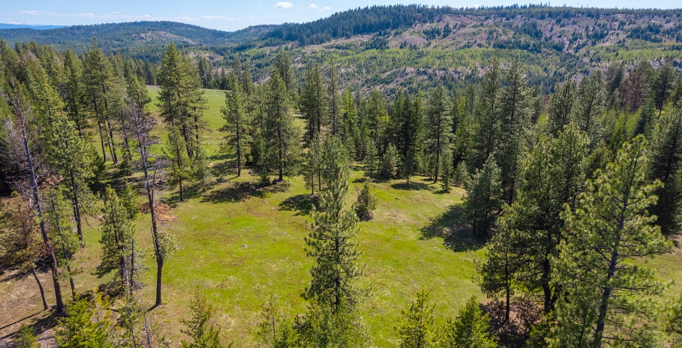 Wallowa West 24