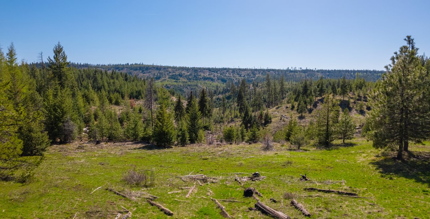 Wallowa West 28